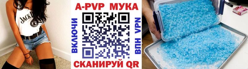 Купить где  Пошехонье  А ПВП СК 