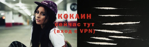 дживик Ладушкин